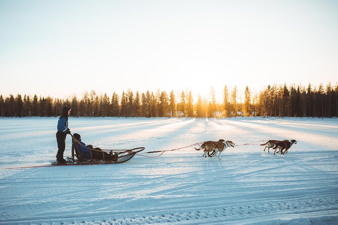 Apukka Husky Adventure in Rovaniemi