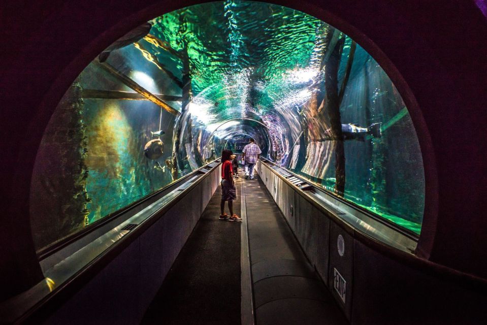 1 aquarium of the bay vip tour Aquarium of the Bay VIP Tour
