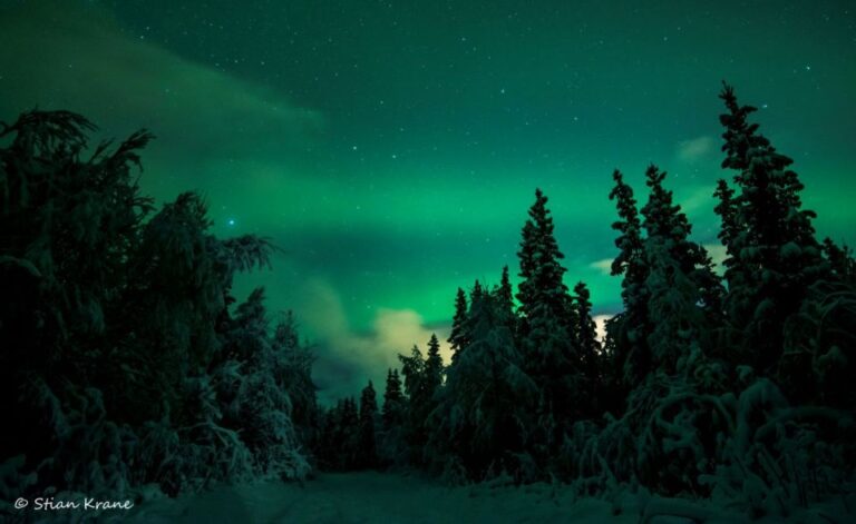 Arctic Adventure: Northern Lights Hunting With Snowmobiles