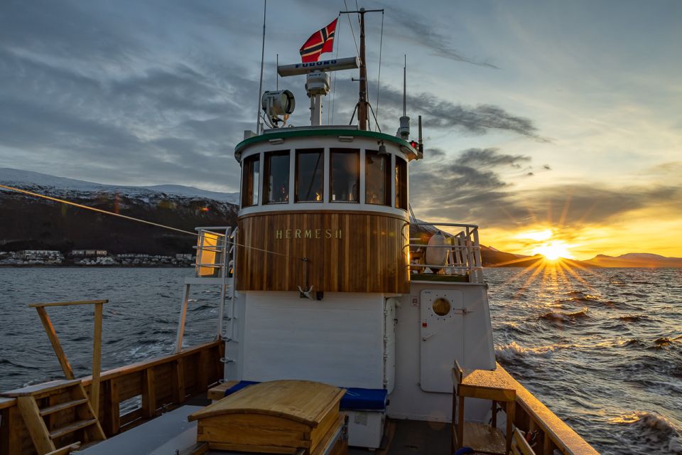 1 arctic light evening cruise Arctic Light Evening Cruise