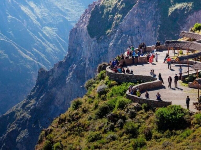 Arequipa: Colca Canyon 1-Day Guided Tour Condor Flight