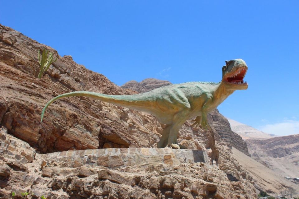 1 arequipa dead bull petroglyphs and dinosaur footprints AREQUIPA: Dead Bull Petroglyphs and Dinosaur Footprints