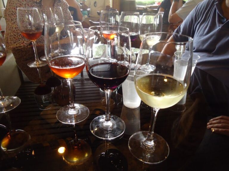 Arrabida and Bacalhoa Wine Tasting Private Tour From Lisbon