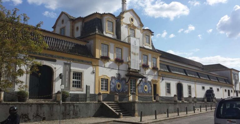 Arrábida and Sintra: Full-Day Private Wine Tour