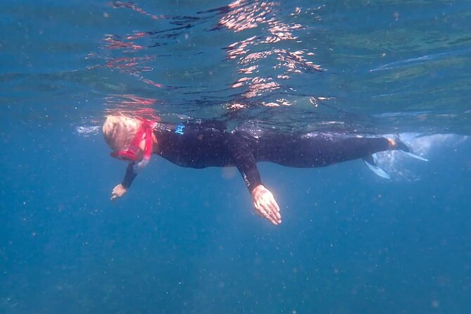 Arrábida: Kayaking Snorkeling Experience