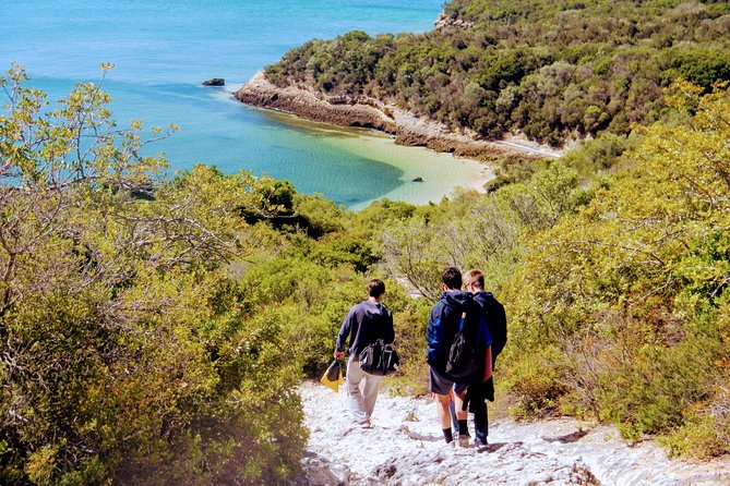 Arrábida Snorkeling Adventure With Transfer From Lisbon