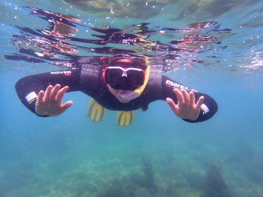 1 arrabida snorkeling experience in arrabida marine reserve Arrábida: Snorkeling Experience in Arrábida Marine Reserve