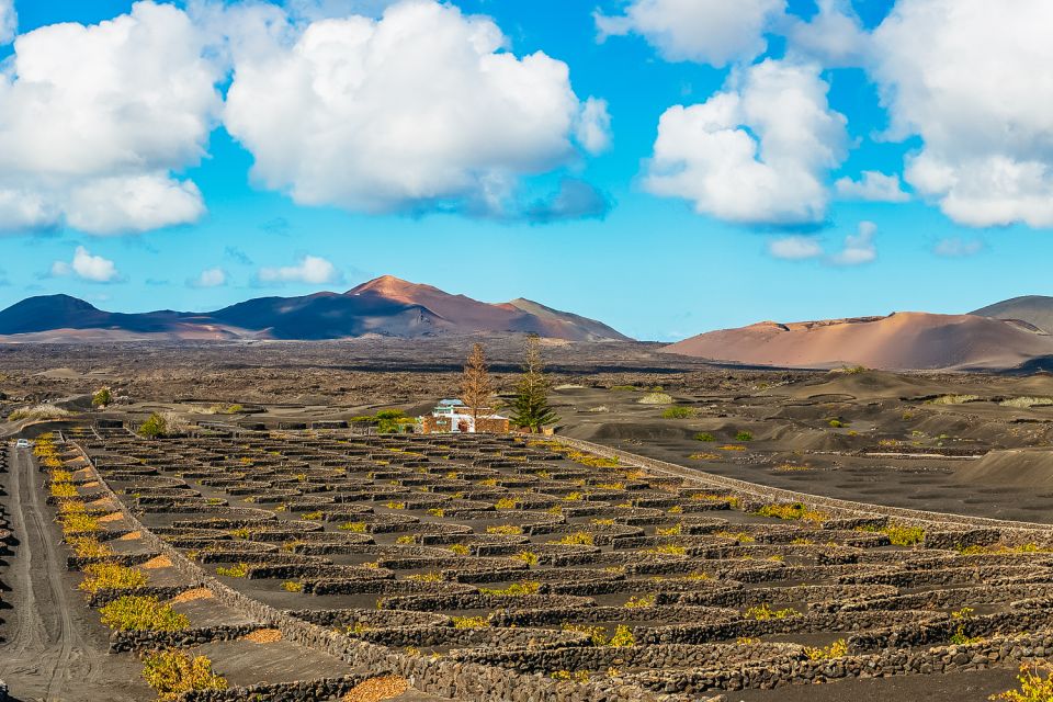 1 arrecife timanfaya and green lagoon for cruise passengers Arrecife: Timanfaya and Green Lagoon for Cruise Passengers