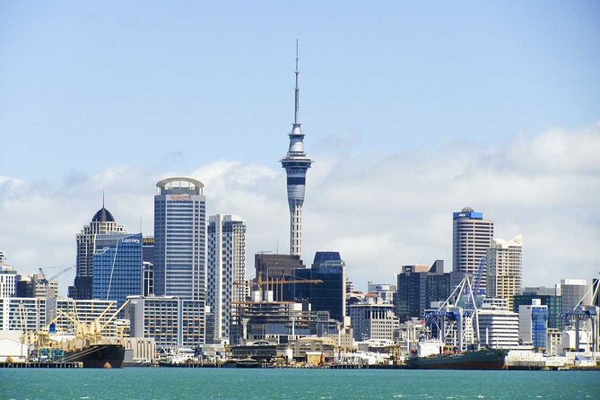 Arrival Private Transfer From Auckland Airport AKL to Auckland in Luxury Van