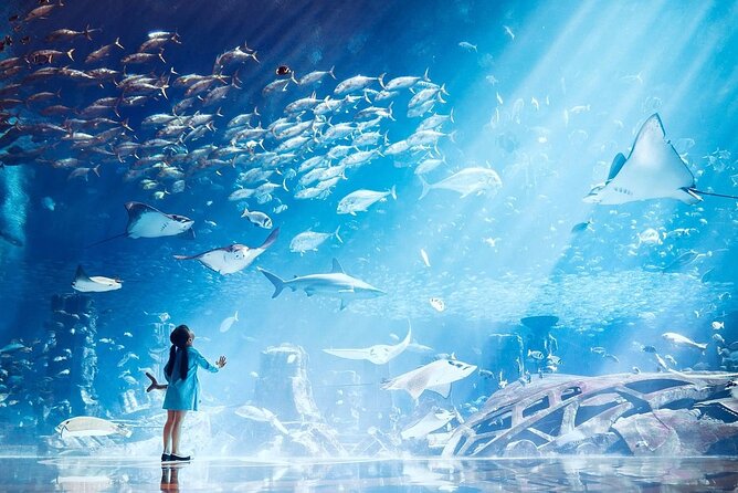 1 atlantis lost chamber aquarium dubai Atlantis Lost-Chamber Aquarium Dubai