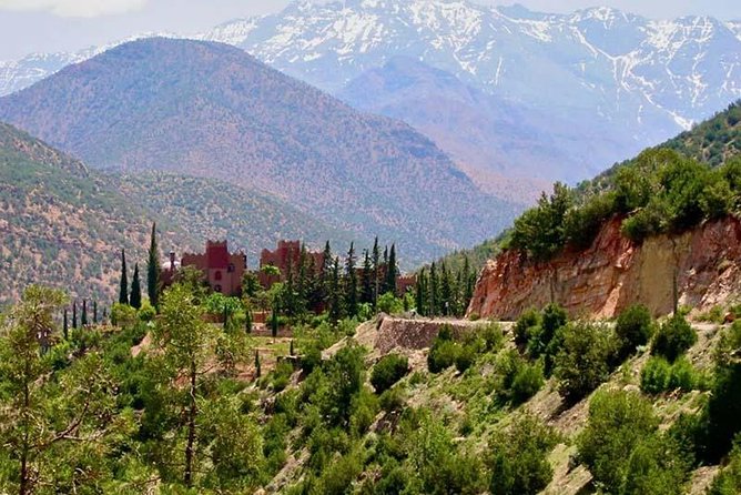 Atlas Mountains and 4 Valleys, Lunch With Local Berbers