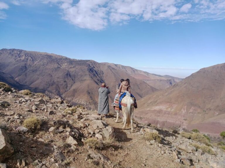 Atlas Mountains and Camel Ride & 3 Valleys With Waterfalls