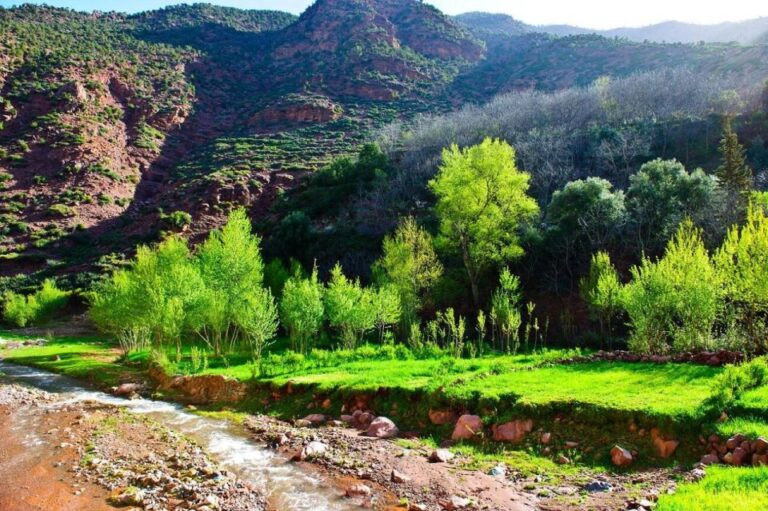 Atlas Mountains and the 4 Valleys Departing From Marrakech