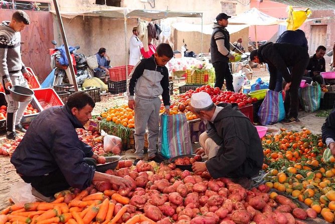 Atlas Mountains and Three Valleys & Waterfalls: Guided Day Trip From Marrakech