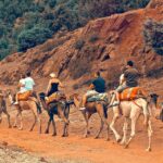 1 atlas mountains berber valleys waterfalls camel ride Atlas Mountains: Berber Valleys, Waterfalls & Camel Ride