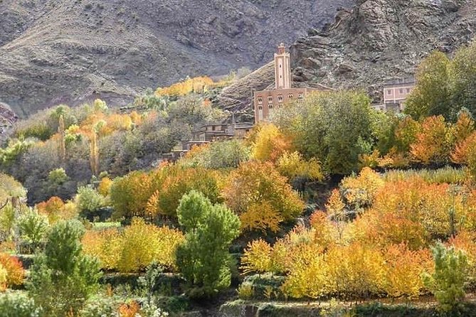 Atlas Mountains Day Trip to Ourika Valley