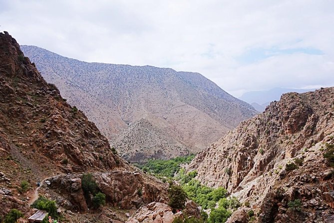 Atlas Mountains Ourika Valley and Camel Ride