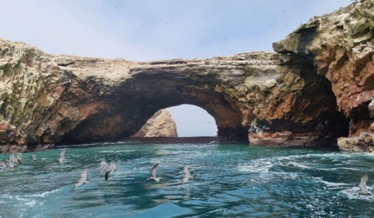 ATV Adventure Ballestas Island and Paracas National Reserve