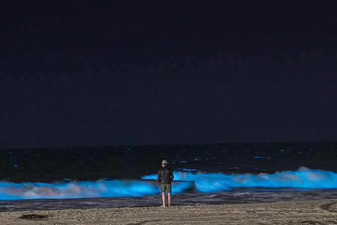 1 auckland bioluminescence kayak tour Auckland Bioluminescence Kayak Tour
