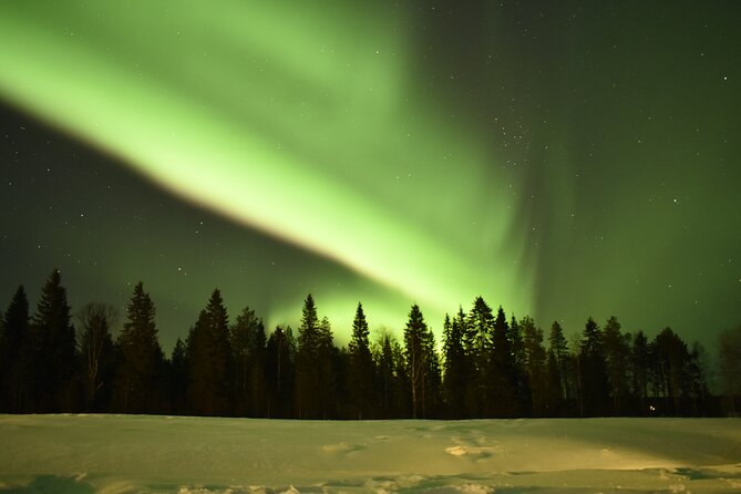 Aurora Hunt by Car With Apukka Adventures, Rovaniemi