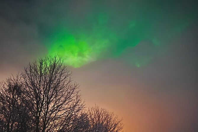 1 aurora hunt with bbq in rovaniemi Aurora Hunt With BBQ in Rovaniemi