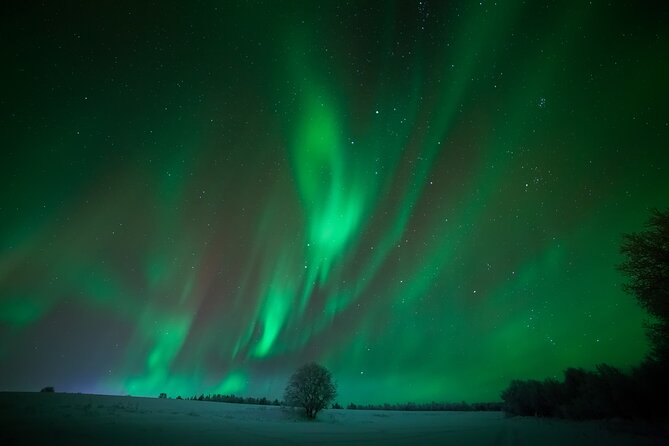 Aurora Hunting & Photography Tour