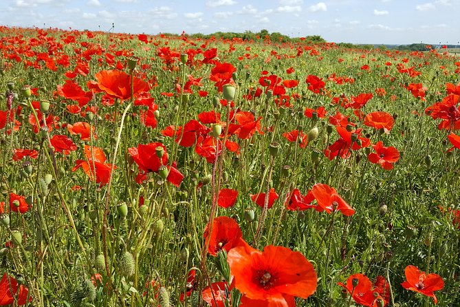 Australian Battlefields Private Tour in Flanders From Bruges