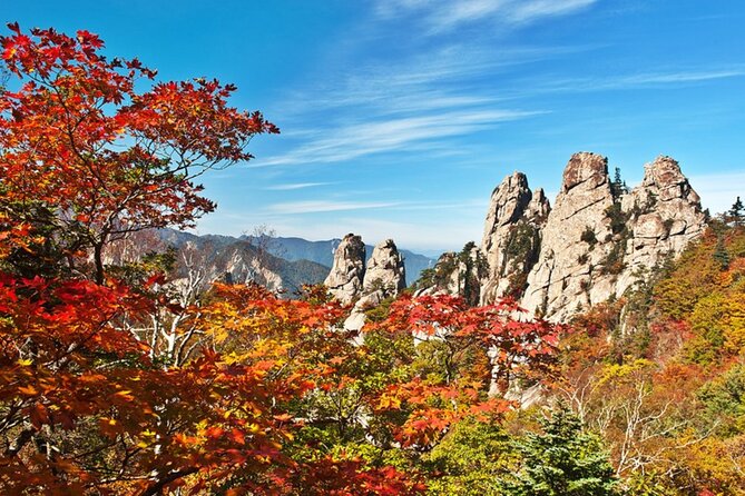 Autumn Limited: Seoraksan X Maple Mountain Cable Car Tour
