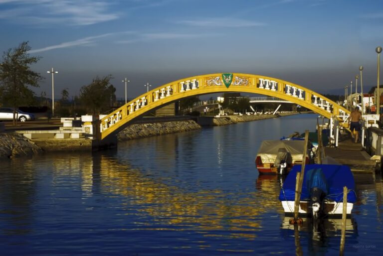 Aveiro: Half Day Tour With Boat Ride