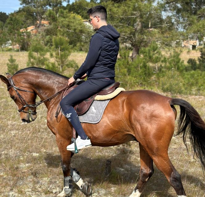 1 aveiro horse riding experience with instructor Aveiro: Horse Riding Experience With Instructor
