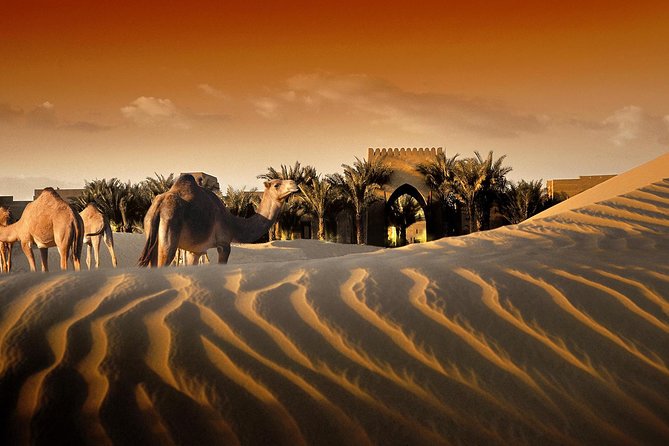 1 bab al shams dinner with desert safari Bab Al Shams Dinner With Desert Safari