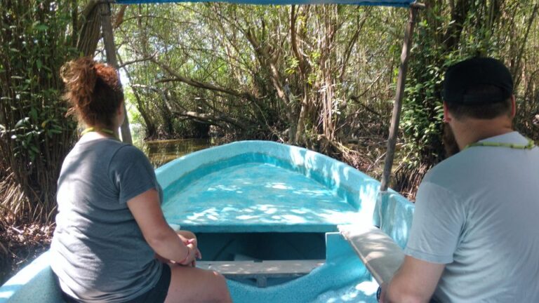 .Baby Turtle Release, Lagoon Boat Ride, and Crocodile Farm