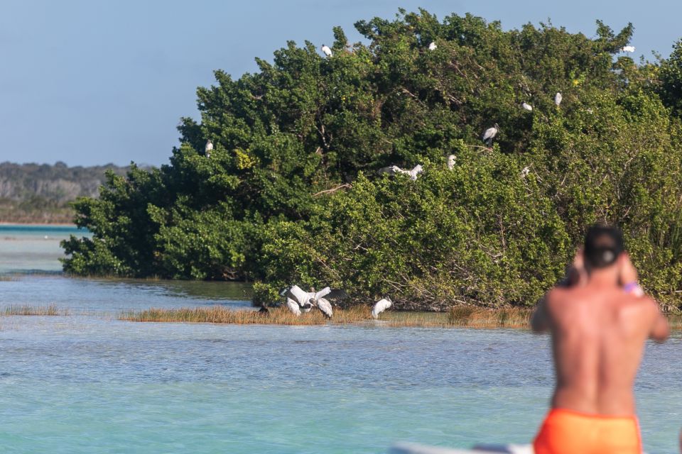 1 bacalar full day kayak rental in the lagoon of seven colors Bacalar: Full Day Kayak Rental in the Lagoon of Seven Colors