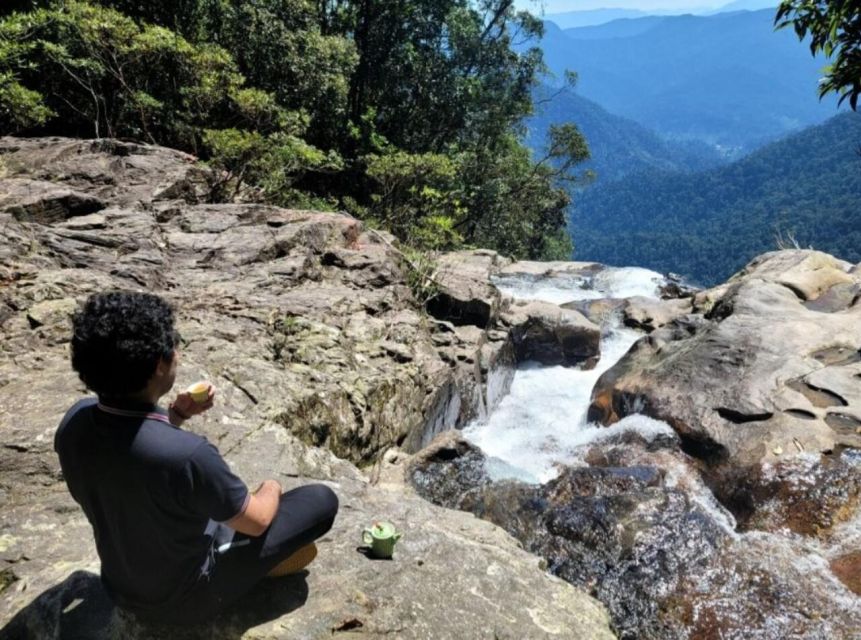 1 bach ma national park day trek private tour hoi an danang Bach Ma National Park: Day Trek Private Tour - Hoi An/DaNang