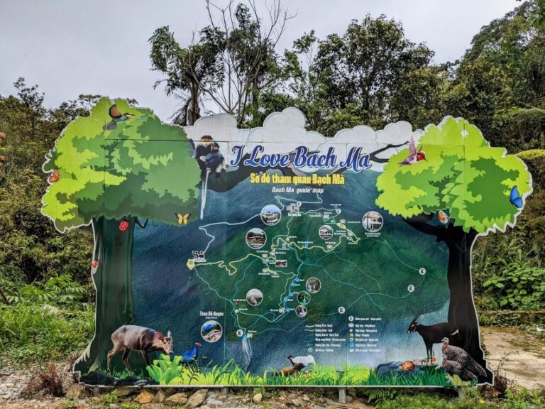 Bach Ma National Park Trekking Tour : Hoi An / Da Nang / Hue