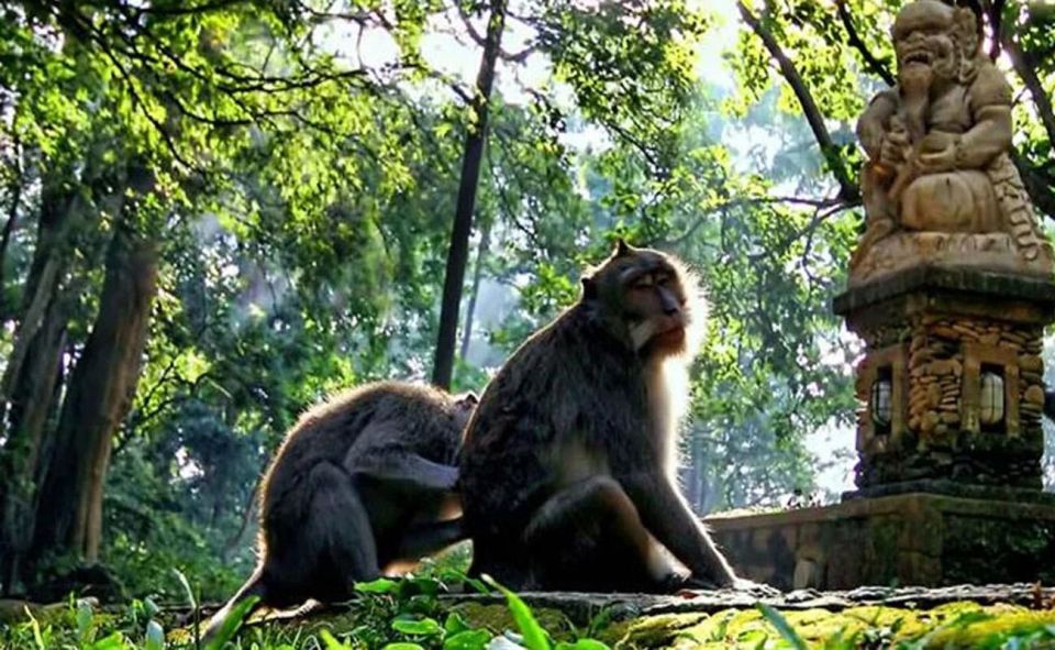 1 bali ayung rafting monkey forest and swing tour Bali : Ayung Rafting, Monkey Forest and Swing Tour