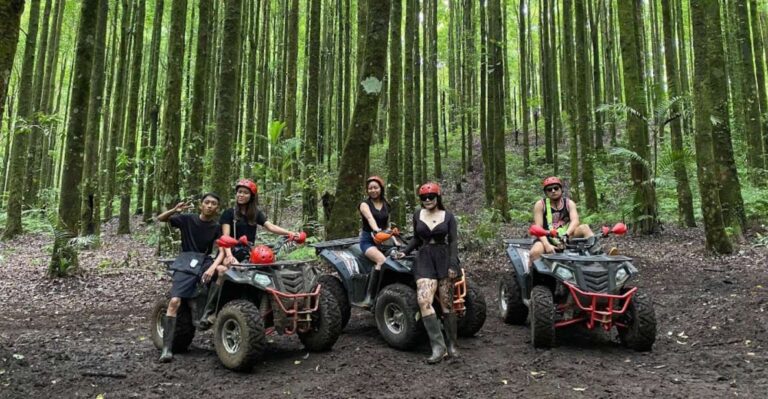 Bali: Bedugul Real Forest Quad Bikes ATV Adventures