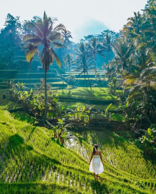 Bali Customized Full-Day Private Tour