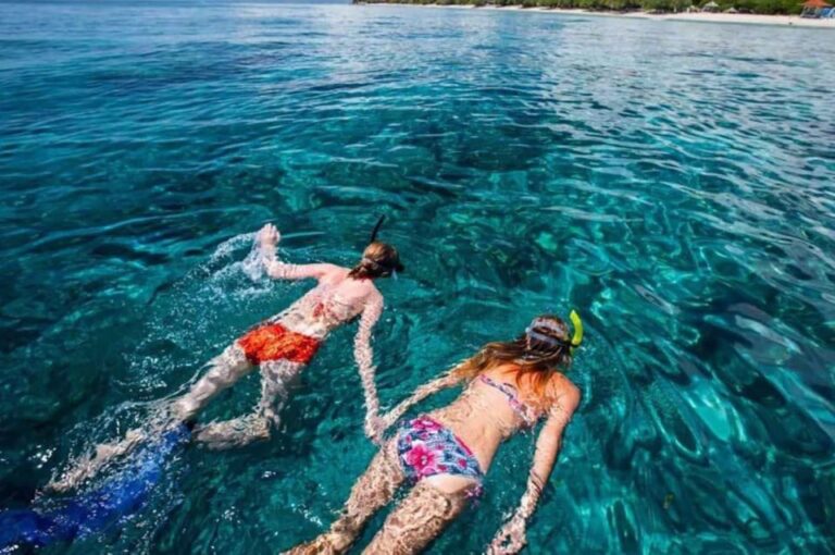 Bali: Dolphin Watching, Snorkeling & Hot Spring Tour