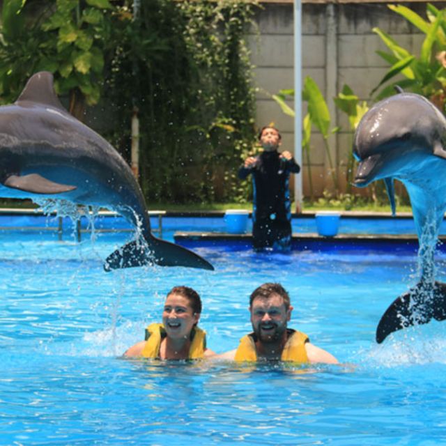 Bali : Full Day Bali Dolphin Tour
