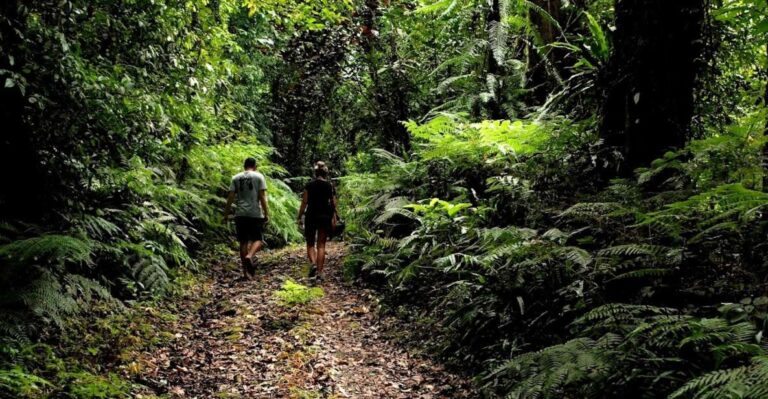 Bali: Half-Day Bayad Eco Hike