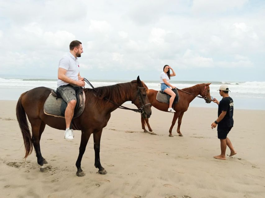 1 bali horse riding seminyak beach 1 hour Bali: Horse Riding Seminyak Beach 1 Hour Experience