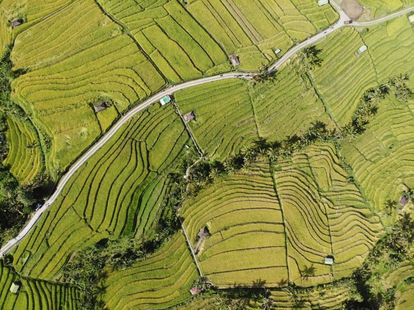 1 bali jatiluwih rice terrace and tanah lot tours Bali Jatiluwih Rice Terrace and Tanah Lot Tours