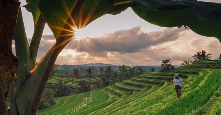 Bali: Jatiluwih Rice Terrace Sunrise Trekking With Breakfast