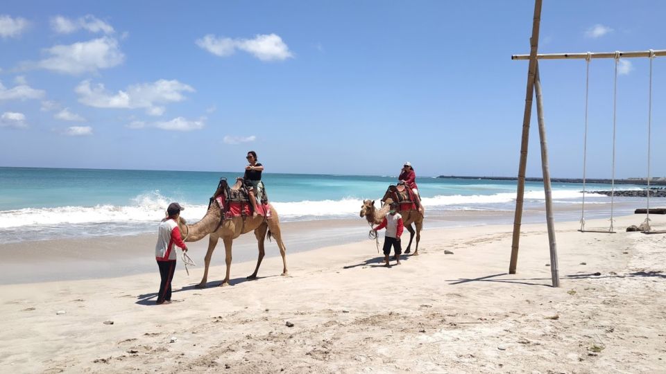1 bali kelan beach camel rides Bali: Kelan Beach Camel Rides Experiences
