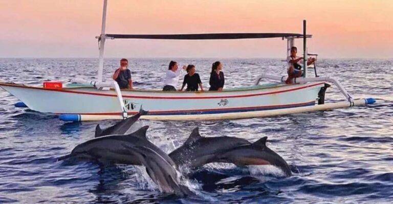 Bali Lovina Dolphin Tour & Watching Sunrise