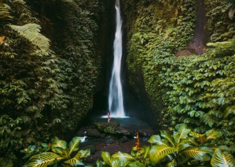 Bali: Monkey Forest, Leke-Leke Waterfall, Unesco Heritage