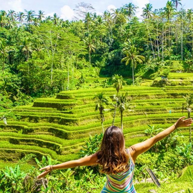 Bali: Rice Terraces, Water Temple, Waterfall (Private Tour)