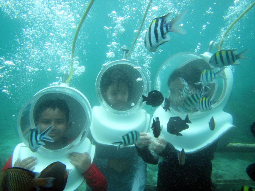 1 bali sea walker under water Bali: Sea Walker Under Water Experience