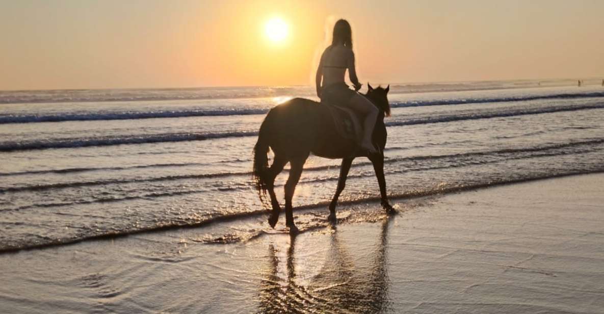 1 bali seminyak beach horse riding Bali: Seminyak Beach Horse Riding Experience